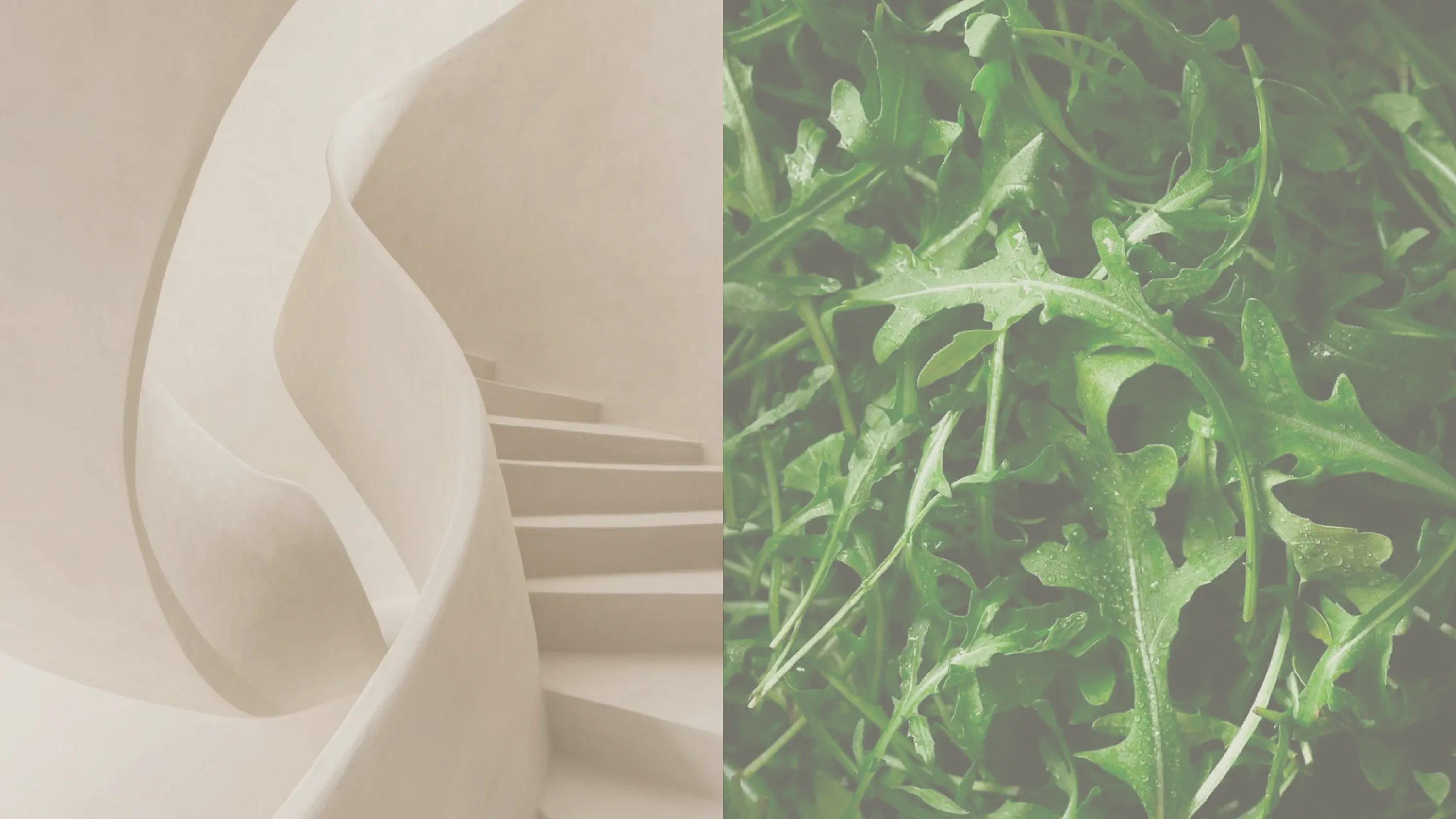 Two-image composition: a sculptural staircase in cream tones and a close-up of fresh arugula leaves
