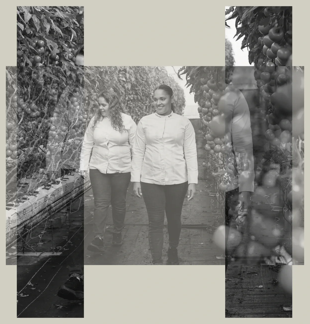 Two women walking through a greenhouse — black-and-white H-shaped collage