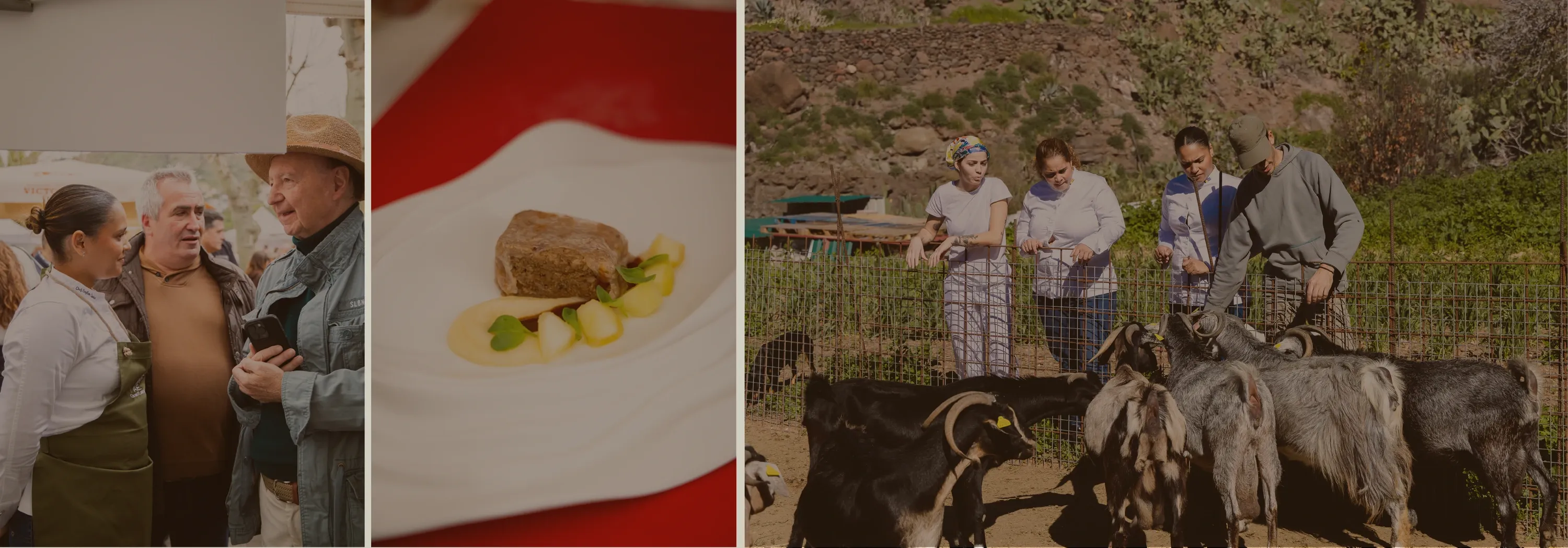 Saylem talking with a Canarian producer, plated dish on red tablecloth and a group visiting a goat farm on the island